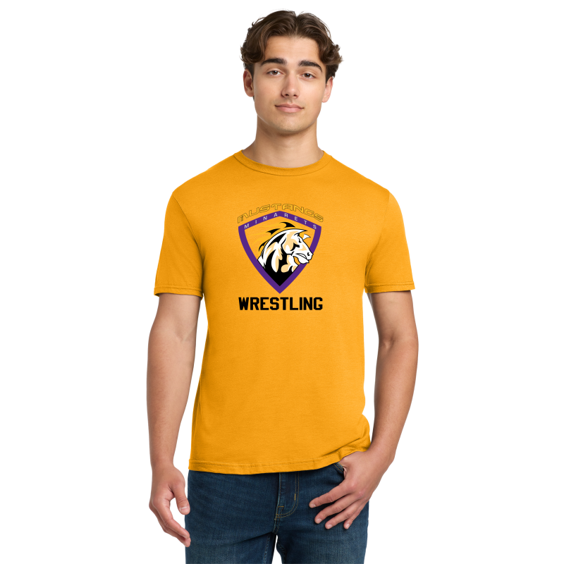 Softstyle Tee (Multiple Colors Available)