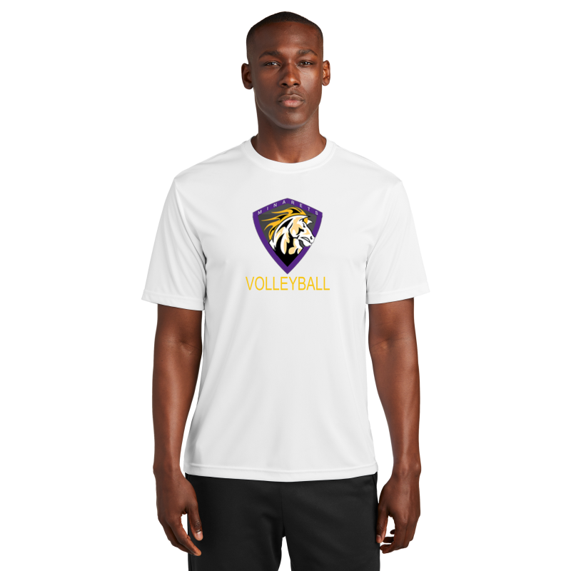 Polyester Short Sleeve Shirt ( Multiple colors)