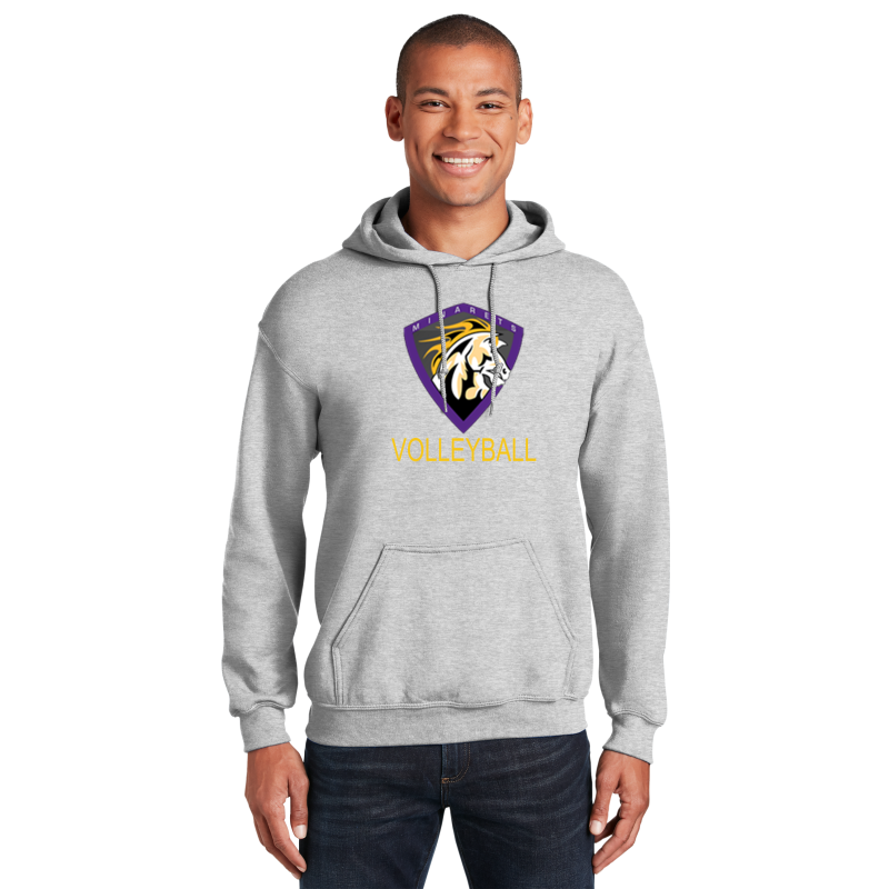 Hoodie ( Multiple Colors)