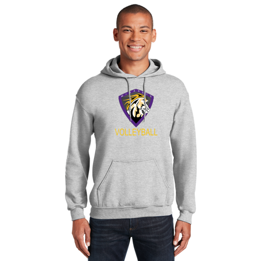 Hoodie ( Multiple Colors)