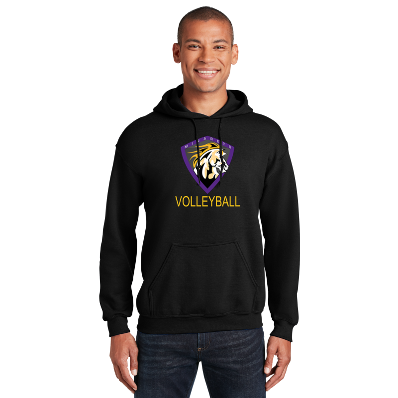 Hoodie ( Multiple Colors)