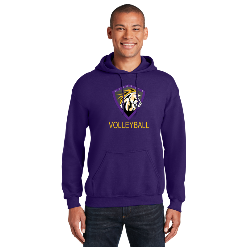 Hoodie ( Multiple Colors)