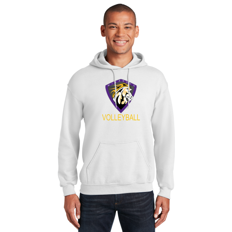 Hoodie ( Multiple Colors)
