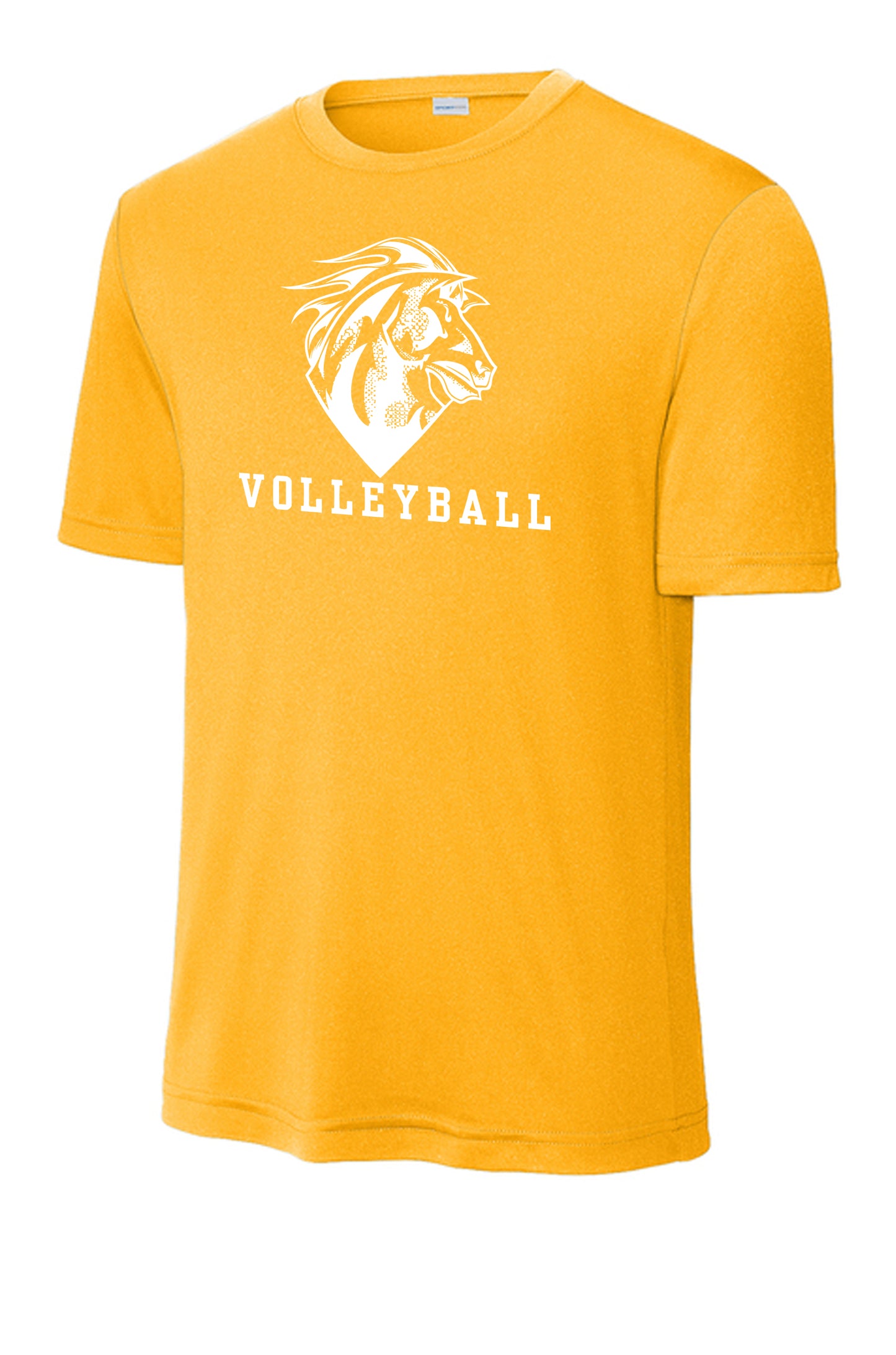 Drifit Tee  100% Polyester